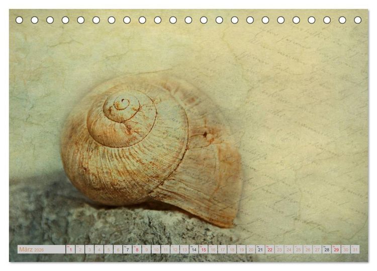 Produktbild: Momente der Stille (Tischkalender 2026 DIN A5 quer), CALVENDO Monatskalender