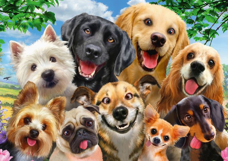Produktbild: PU500T. Hunde-Selfie