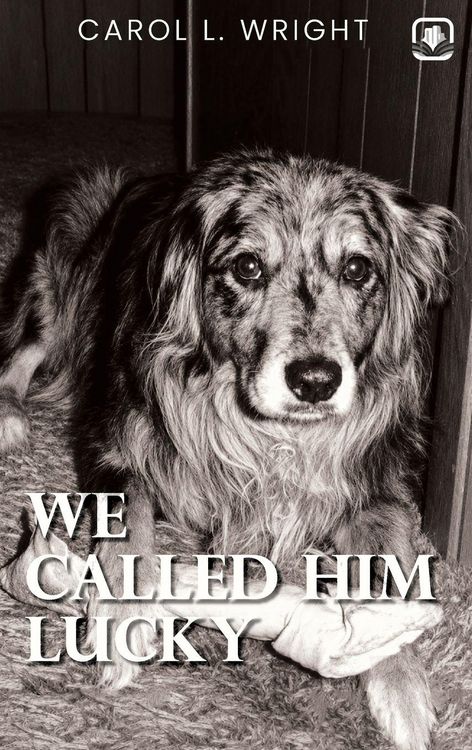 Produktbild: We Called Him Lucky