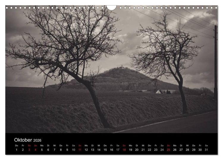 Produktbild: B&auml;ume trees 2026 (Wandkalender 2026 DIN A3 quer), CALVENDO Monatskalender