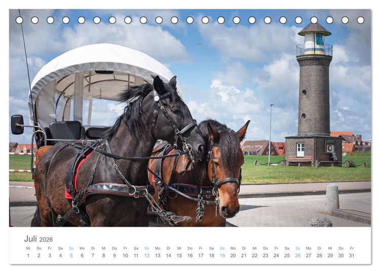 Produktbild: Juist - mein T&ouml;werland (Tischkalender 2026 DIN A5 quer), CALVENDO Monatskalender