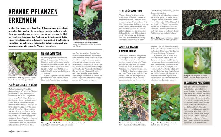 Produktbild: Gr&uuml;nes Gartenwissen. Krankheiten und Sch&auml;dlinge