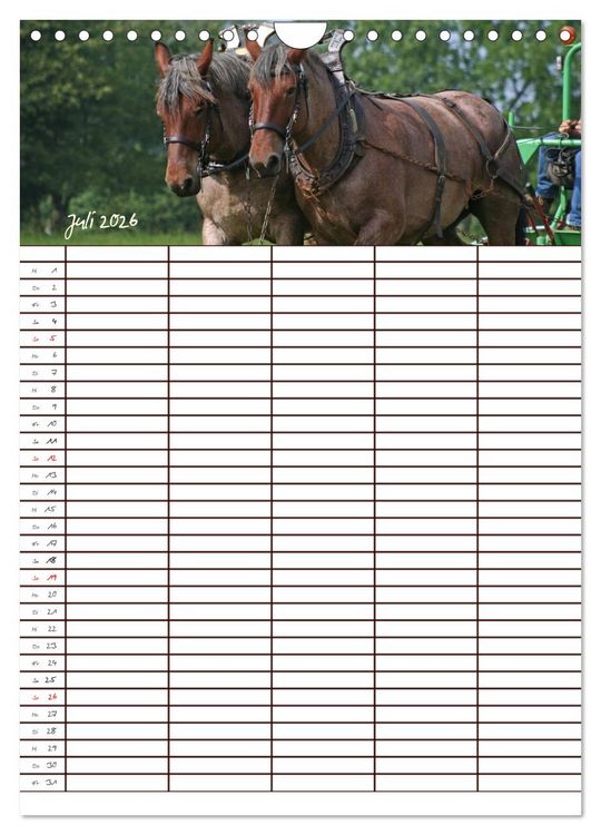 Produktbild: Der Kaltblut-Familienplaner (Wandkalender 2026 DIN A4 hoch), CALVENDO Monatskalender