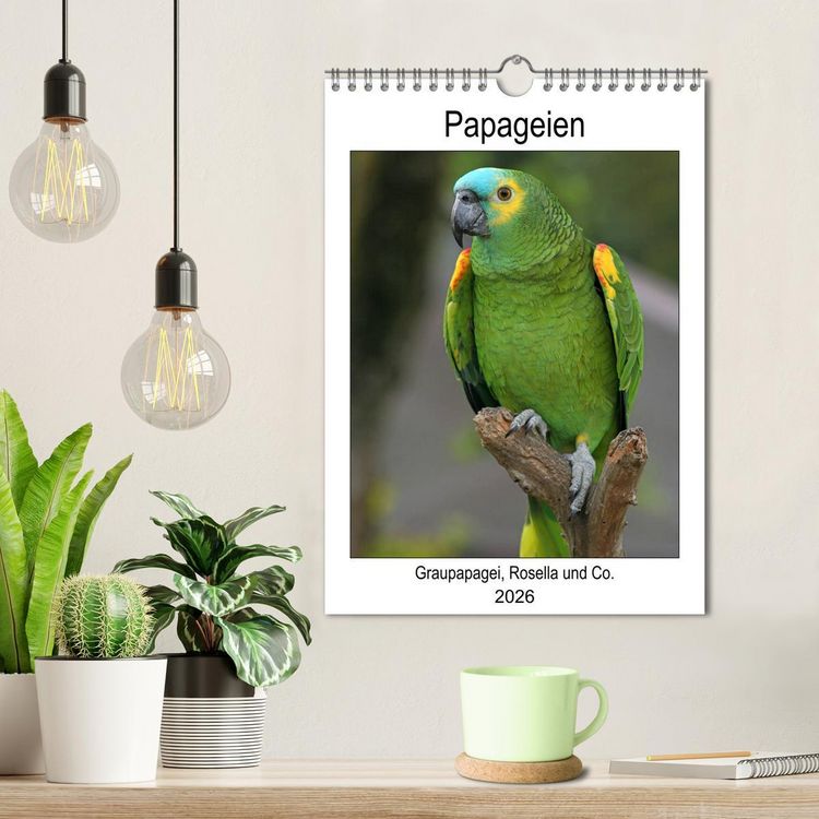 Produktbild: Papageien - Graupapagei, Rosella und Co. (Wandkalender 2026 DIN A4 hoch), CALVENDO Monatskalender