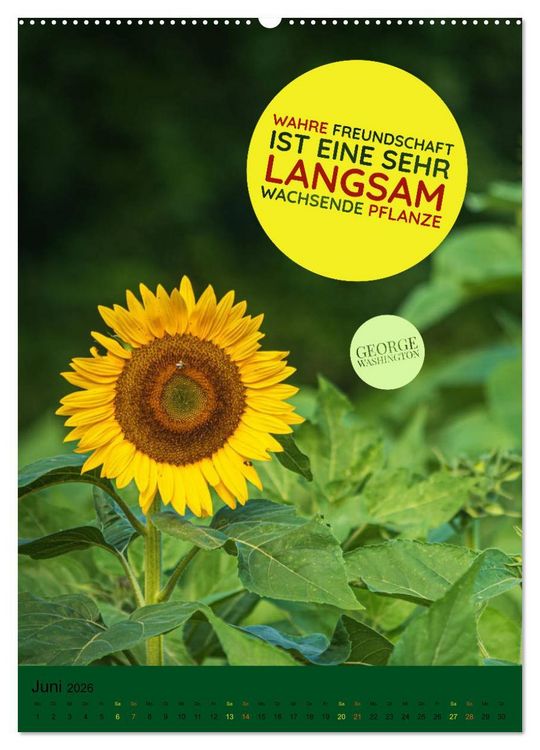 Produktbild: Freundschaft Weisheiten und Zitate (Wandkalender 2026 DIN A2 hoch), CALVENDO Monatskalender