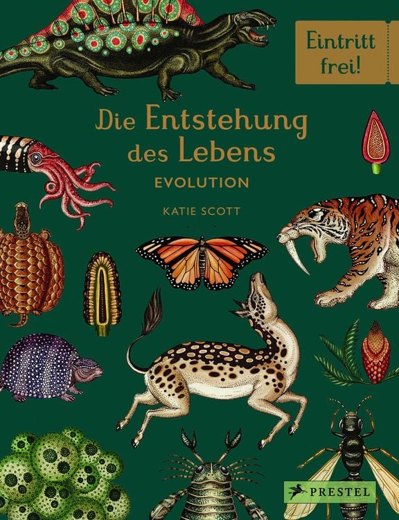 Produktbild: Die Entstehung des Lebens. Evolution
