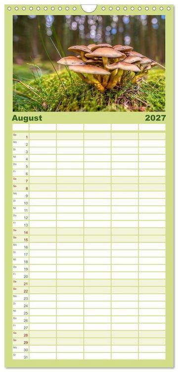 Produktbild: Familienplaner 2027 - Vielfalt am Waldboden mit 5 Spalten (Wandkalender, 21 x 45 cm) CALVENDO