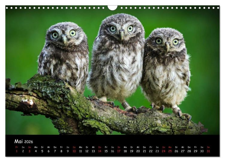 Produktbild: Billerbeck - Perle der Baumberge (Wandkalender 2026 DIN A3 quer), CALVENDO Monatskalender