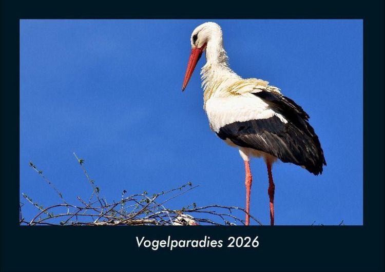 Produktbild: Vogelparadies 2026 Fotokalender DIN A4
