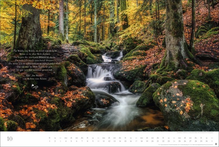 Produktbild: Der deutsche Wald - Ein literarischer Spaziergang Kalender 2027 - Ein literarischer Spaziergang