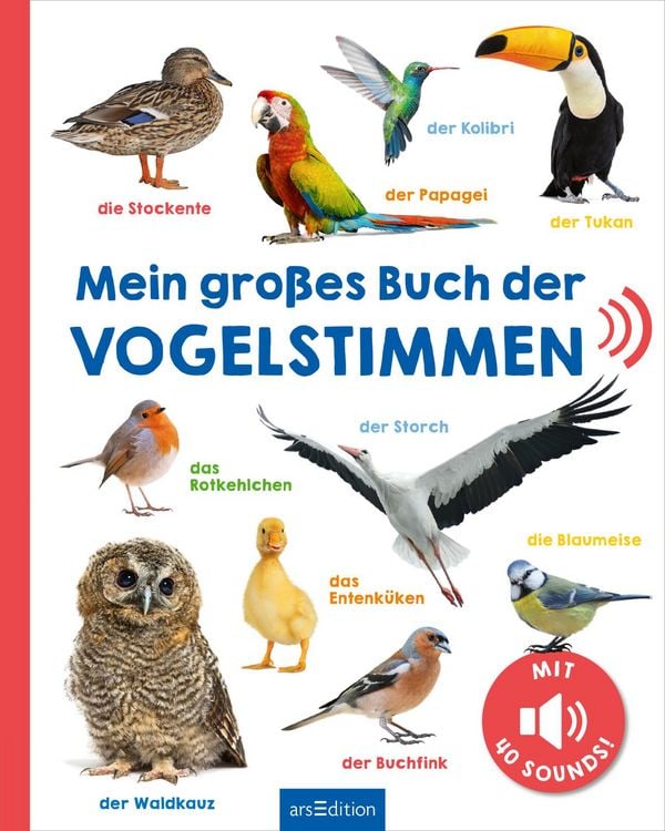 Produktbild: Mein gro&szlig;es Buch der Vogelstimmen