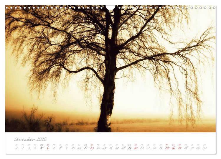 Produktbild: Teufelsmoor Impressionen (Wandkalender 2026 DIN A3 quer), CALVENDO Monatskalender