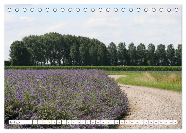 Produktbild: Seel&auml;ndisches Flandern (Tischkalender 2026 DIN A5 quer), CALVENDO Monatskalender