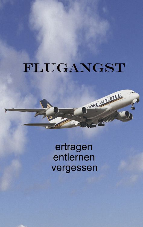 Produktbild: Flugangst ertragen entlernen vergessen
