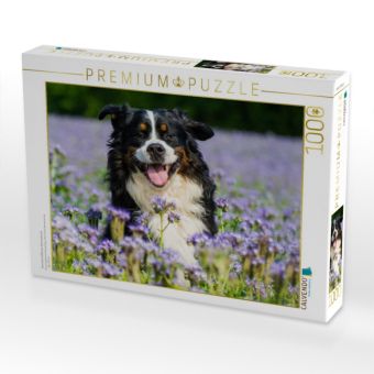 Produktbild: CALVENDO Puzzle Traumhund Berner Sennenhund | 1000 Teile Lege-Gr&ouml;&szlig;e 64x48cm Foto-Puzzle f&uuml;r gl&uuml;ckliche Stunden