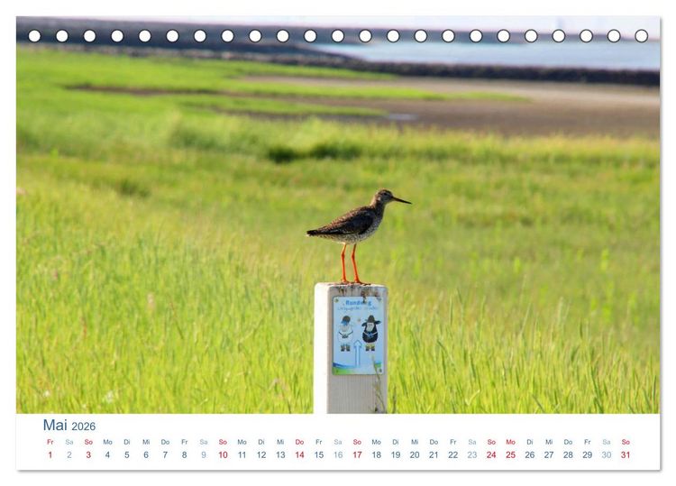 Produktbild: Butjadingen 2026. Impressionen zwischen Jade und Weser (Tischkalender 2026 DIN A5 quer), CALVENDO Monatskalender