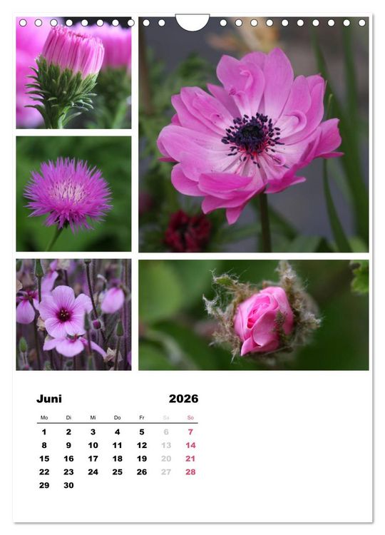 Produktbild: Bl&uuml;ten Collagen (Wandkalender 2026 DIN A4 hoch), CALVENDO Monatskalender