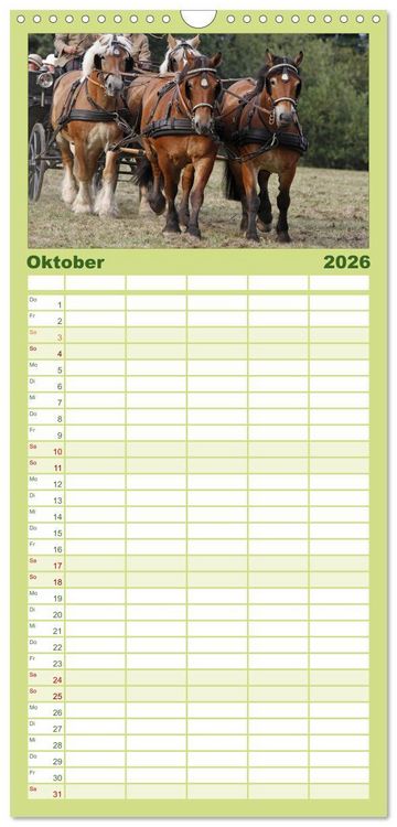 Produktbild: Familienplaner 2026 - Starke Pferde bei der Arbeit mit 5 Spalten (Wandkalender, 21 x 45 cm) CALVENDO