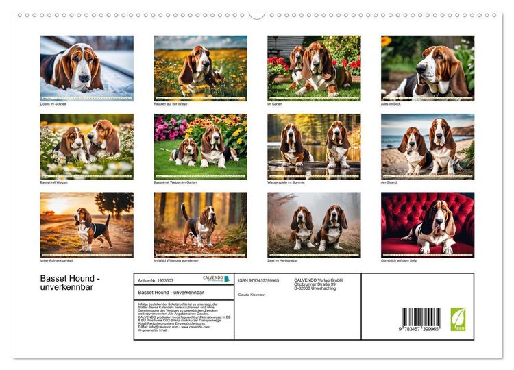 Produktbild: Basset Hound - unverkennbar (hochwertiger Premium Wandkalender 2026 DIN A2 quer), Kunstdruck in Hochglanz