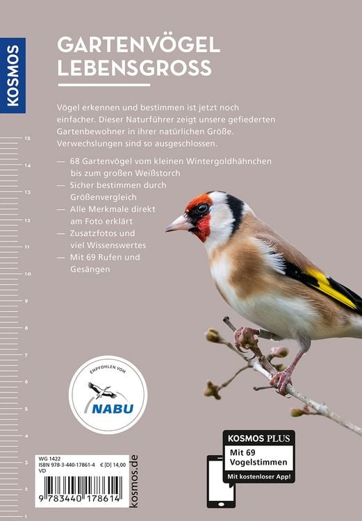 Produktbild: Gartenv&ouml;gel lebensgro&szlig;