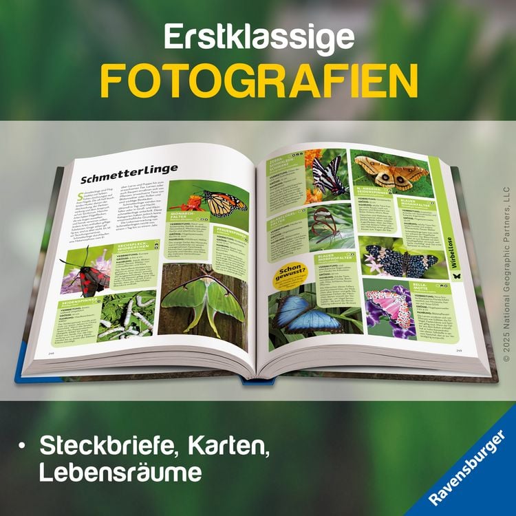 Produktbild: National Geographic Kids - Lexikon der Tiere