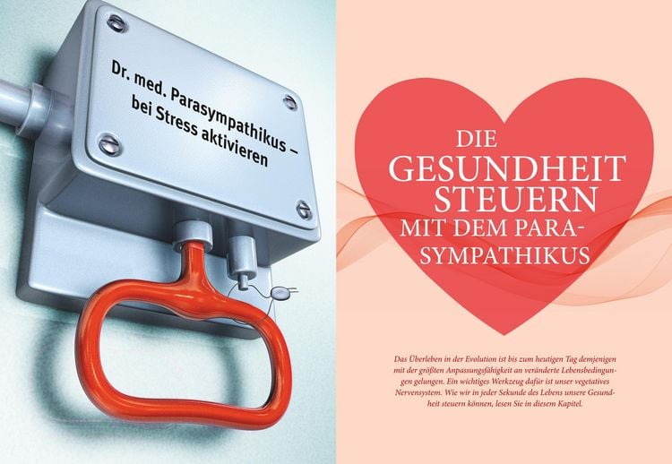 Produktbild: Das Parasympathikus-Prinzip