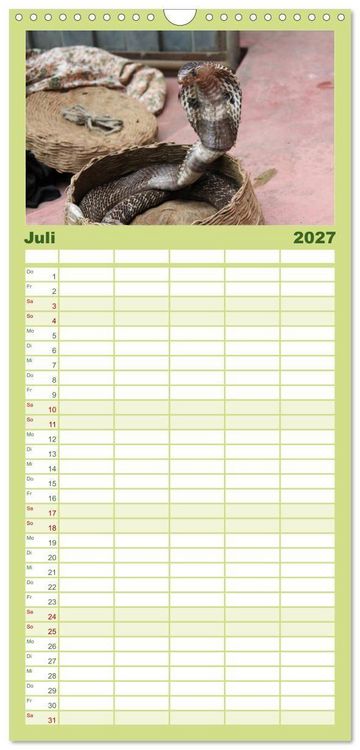 Produktbild: Familienplaner 2027 - Schlangen mit 5 Spalten (Wandkalender, 21 x 45 cm) CALVENDO