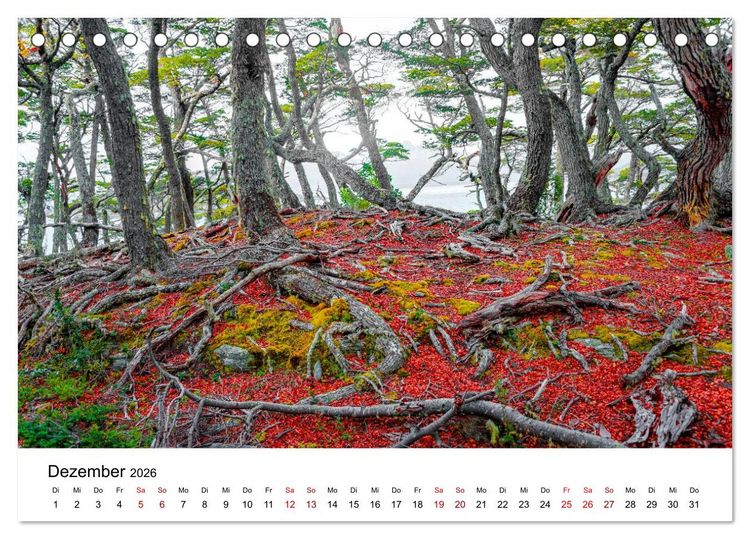Produktbild: Patagonien, Tierra del Fuego: Am Rand der Welt (Tischkalender 2026 DIN A5 quer), CALVENDO Monatskalender