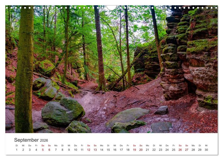 Produktbild: DEUTSCHLAND, S&auml;chsische Schweiz Nationalpark, M&auml;rchenwald (Wandkalender 2026 DIN A3 quer), CALVENDO Monatskalender