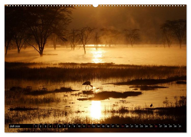 Produktbild: Ostafrikas Traumlandschaften. Kenia - Tansania - Sansibar - &Auml;thiopien (Wandkalender 2026 DIN A2 quer), CALVENDO Monatskalender