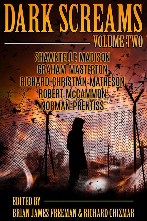 Produktbild: Dark Screams: Volume Two