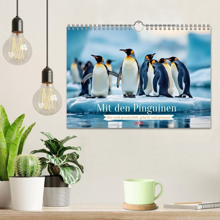 Produktbild: Mit den Pinguinen (Wandkalender 2026 DIN A4 quer), CALVENDO Monatskalender