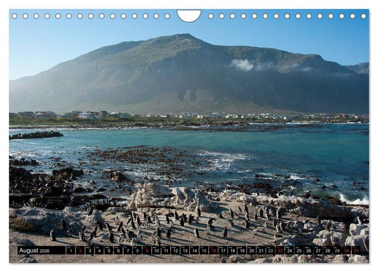 Produktbild: South Africa / UK-Version (Wall Calendar 2026 DIN A4 landscape), CALVENDO 12 Month Wall Calendar