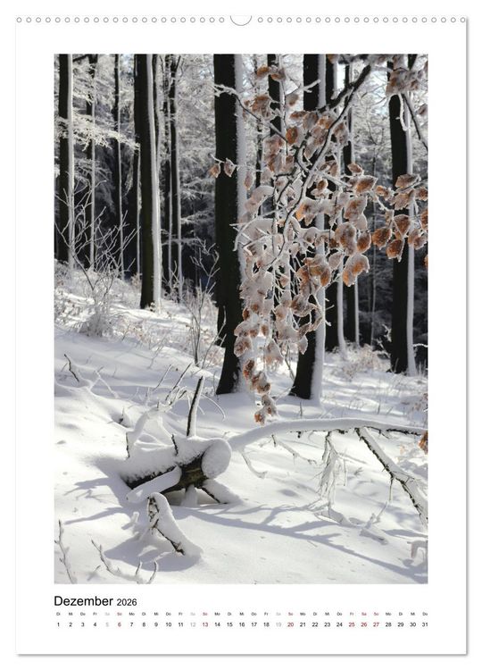Produktbild: Mein Sehnsuchtsort, der Wald (Wandkalender 2026 DIN A2 hoch), CALVENDO Monatskalender