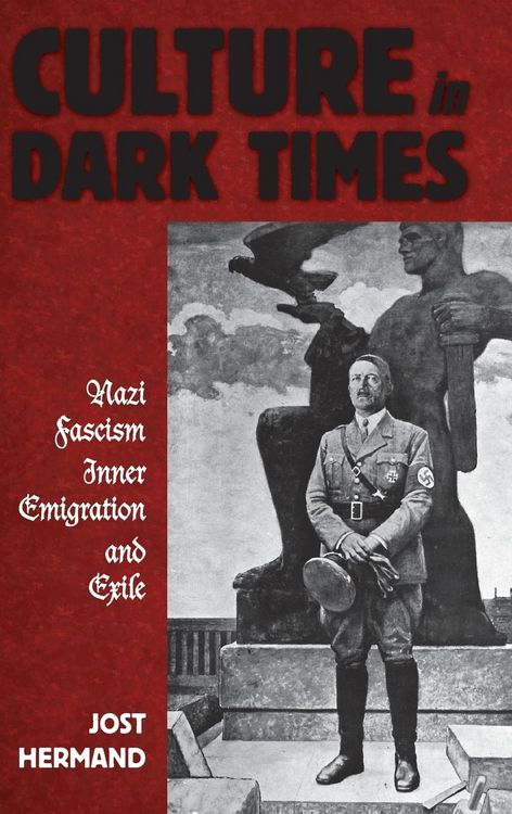 Produktbild: Culture in Dark Times