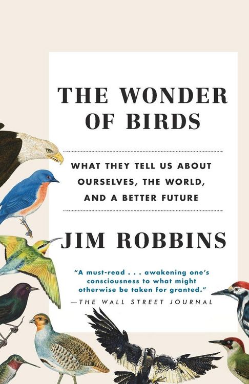 Produktbild: The Wonder of Birds