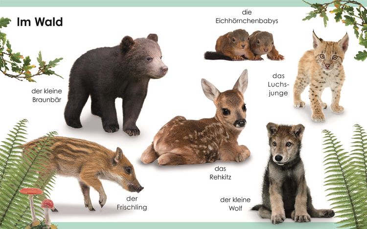 Produktbild: Erstes Lernen mini. Tierkinder