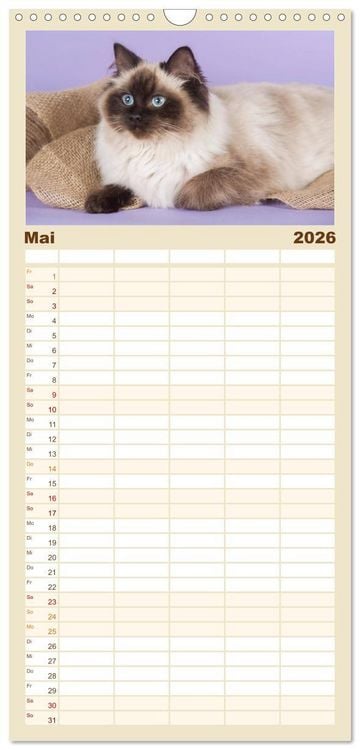 Produktbild: Familienplaner 2026 - Zauberhafte Ragdolls mit 5 Spalten (Wandkalender, 21 x 45 cm) CALVENDO