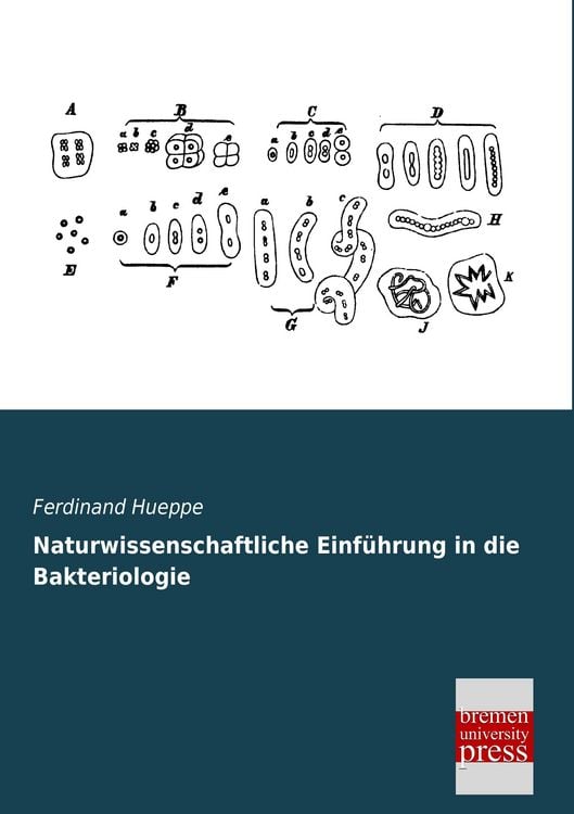 Produktbild: Naturwissenschaftliche Einf&uuml;hrung in die Bakteriologie