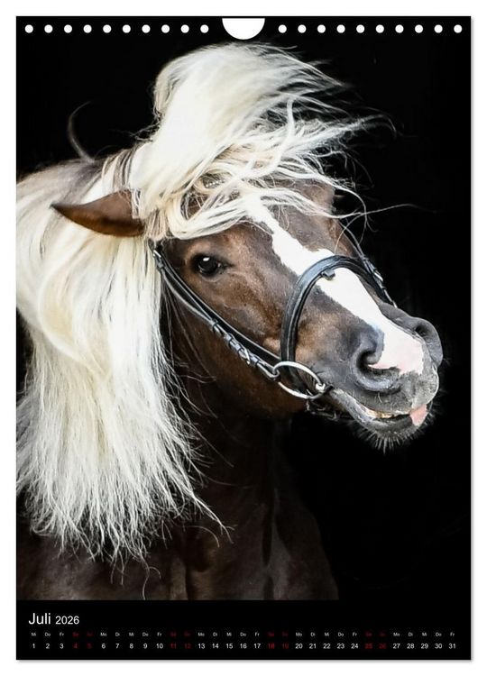 Produktbild: Schwarzw&auml;lder F&uuml;chse von Julia Hahn Photography (Wandkalender 2026 DIN A4 hoch), CALVENDO Monatskalender