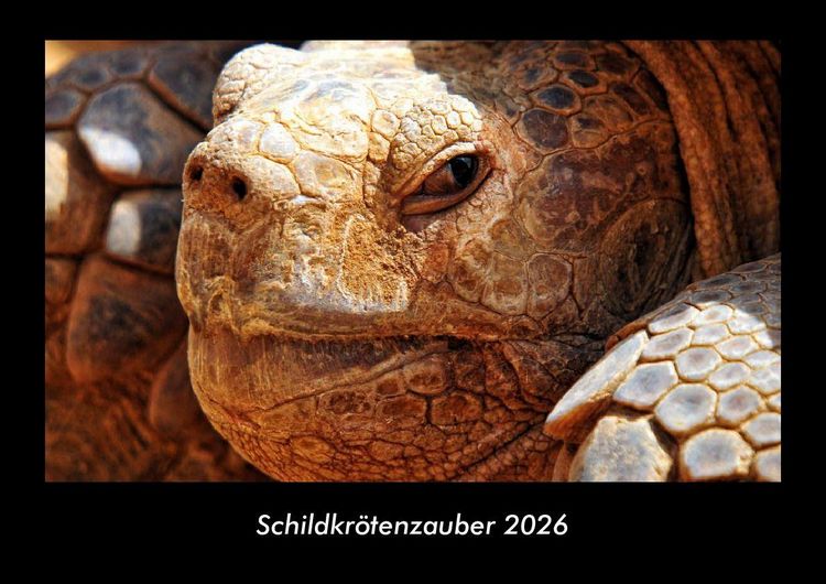 Produktbild: Schildkr&ouml;tenzauber 2026 Fotokalender DIN A3