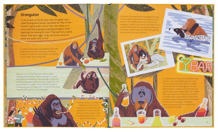 Produktbild: Smart Animals