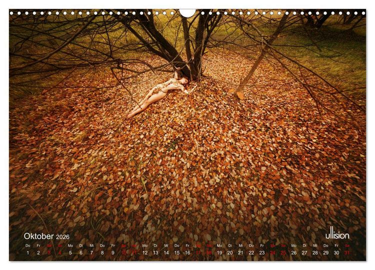 Produktbild: Poesie der Stille &ndash; Akt in der Natur (Wandkalender 2026 DIN A3 quer), CALVENDO Monatskalender