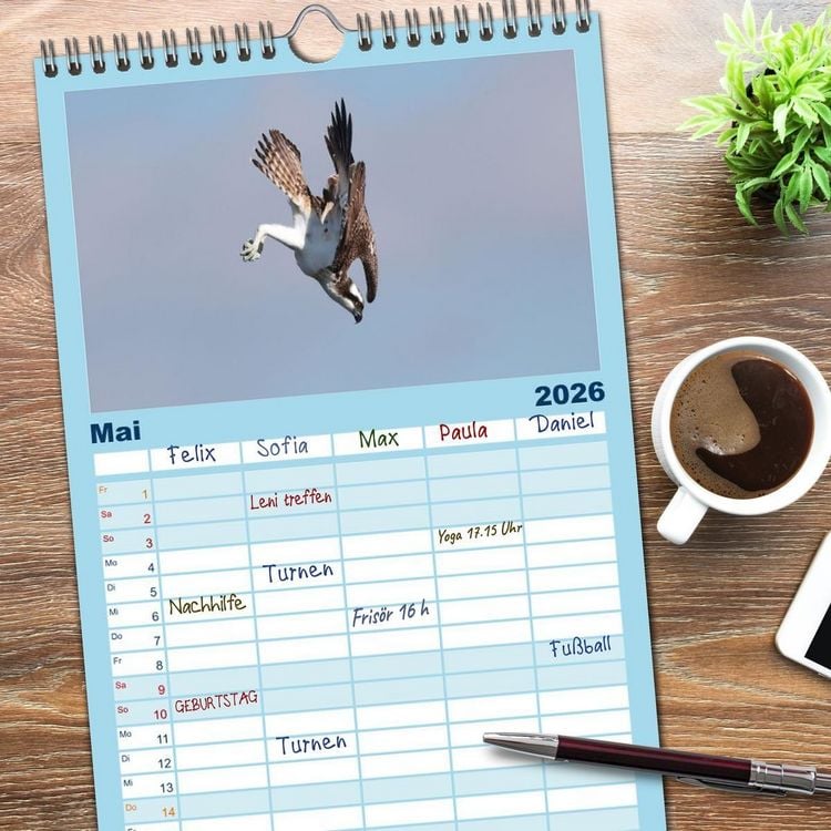 Produktbild: Familienplaner 2026 - Fischadler - Meister des Sturzfluges mit 5 Spalten (Wandkalender, 21 x 45 cm) CALVENDO