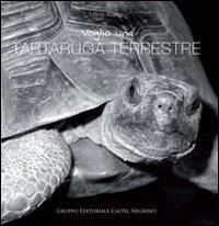 Produktbild: Voglio una tartaruga terrestre