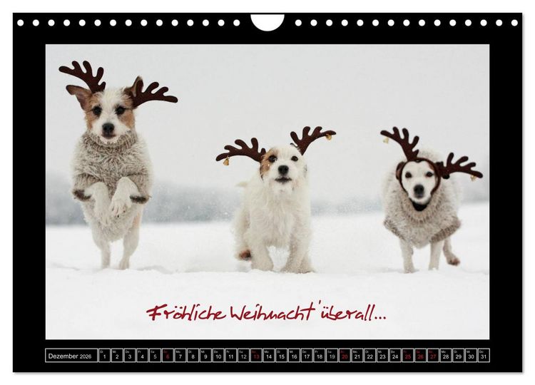Produktbild: Parson Russell Terrier (Wandkalender 2026 DIN A4 quer), CALVENDO Monatskalender