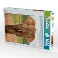 Produktbild: CALVENDO Puzzle Elefant | 1000 Teile Lege-Gr&ouml;&szlig;e 64x48cm Foto-Puzzle f&uuml;r gl&uuml;ckliche Stunden