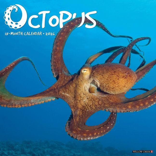Produktbild: Octopus 2026 Wall Calendar