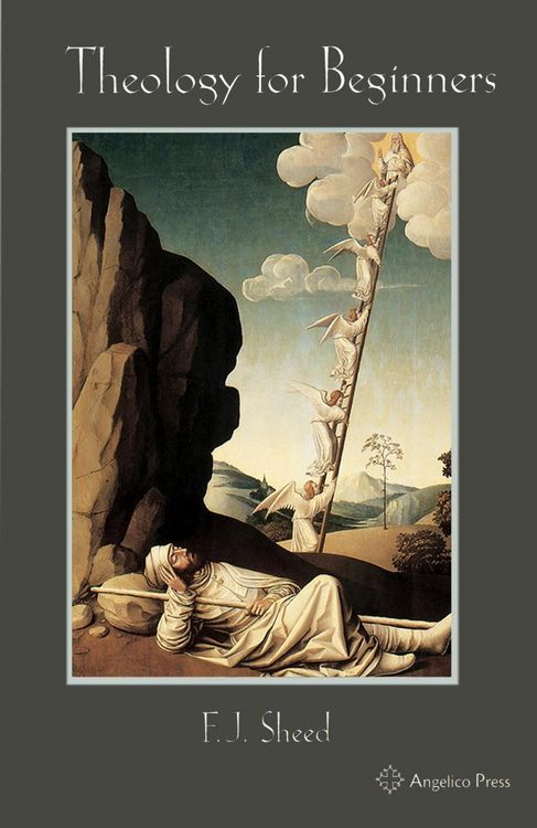 Produktbild: Theology for Beginners