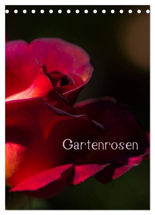 Produktbild: Gartenrosen (Tischkalender 2026 DIN A5 hoch), CALVENDO Monatskalender